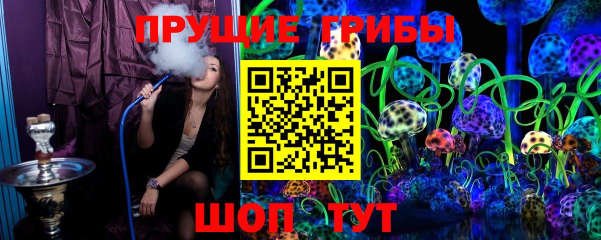 Псилоцибиновые грибы GOLDEN TEACHER Фурманов