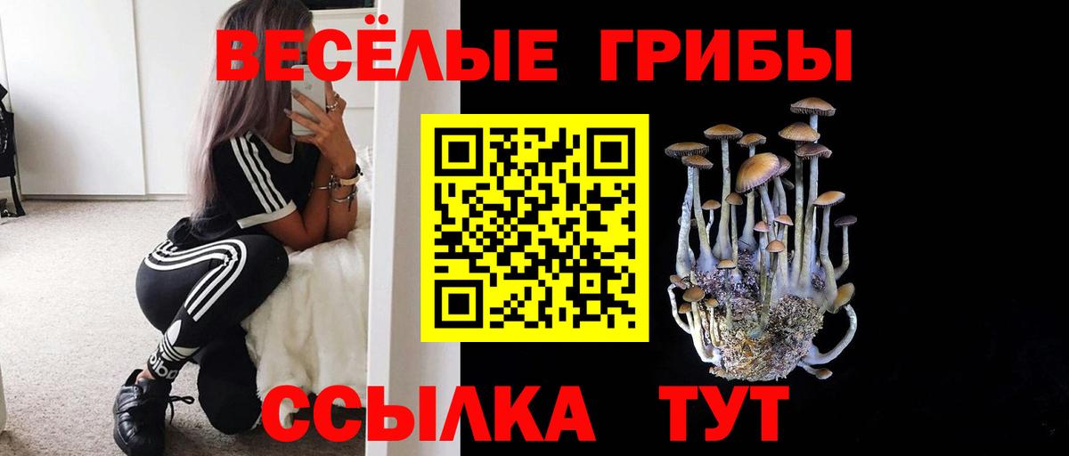 Галлюциногенные грибы прущие грибы  Псилоцибиновые грибы MAGIC MUSHROOMS  Фурманов  Вход с VPN 